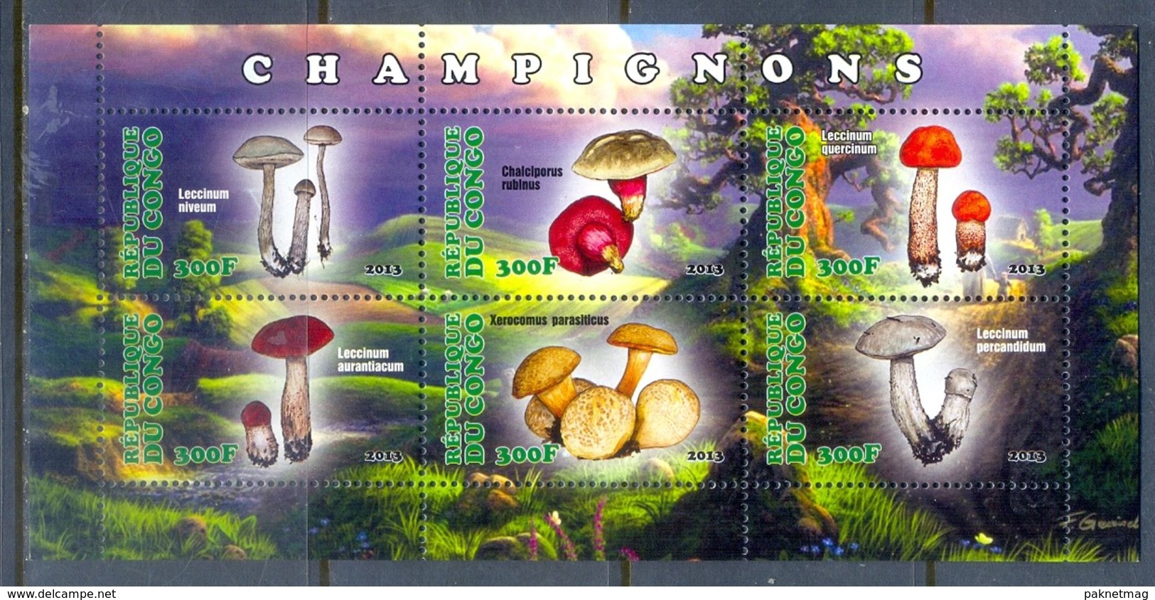 H81- Congo 2013 Mushrooms S/Sheet. - Mushrooms