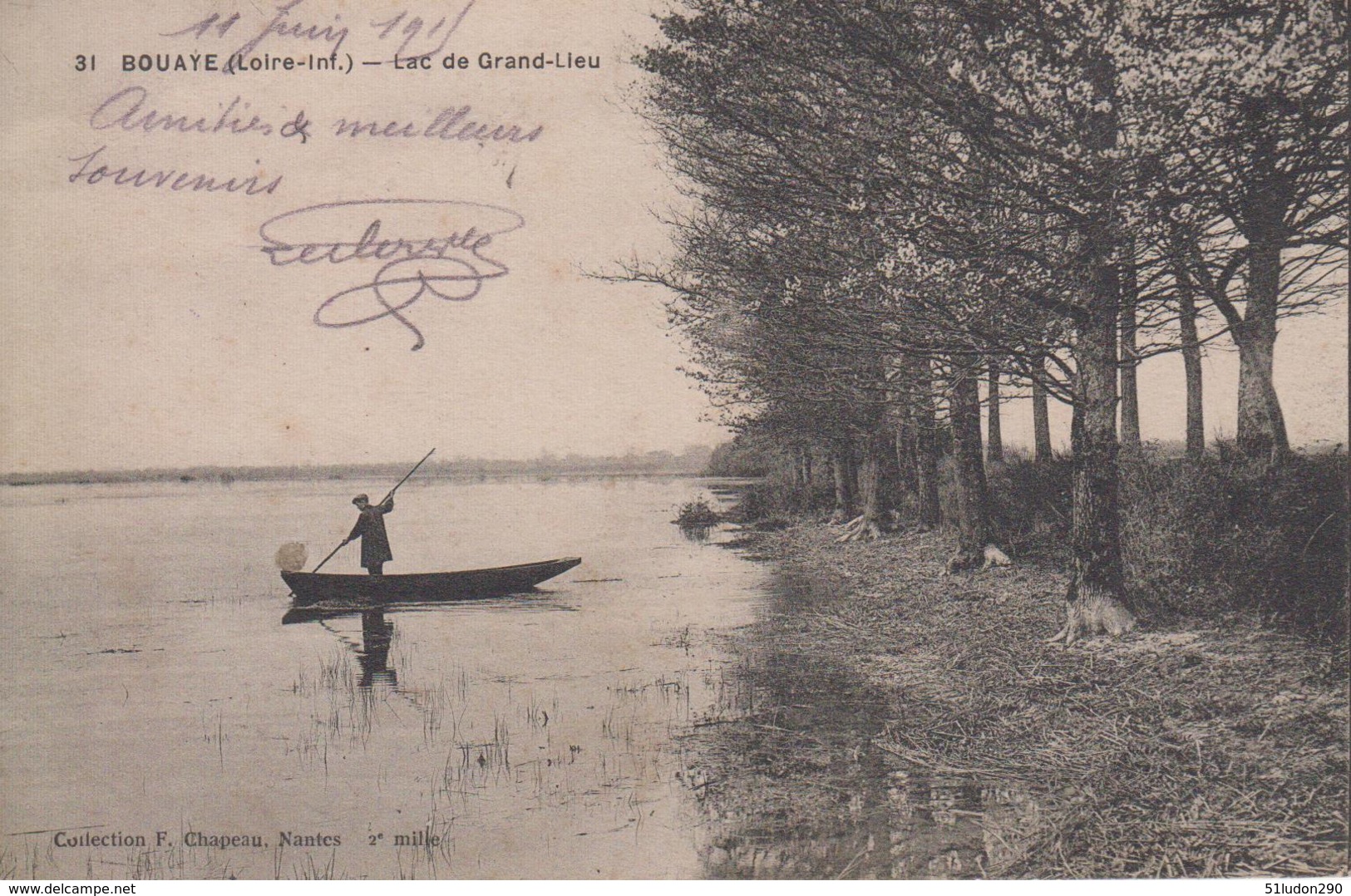 CPA Bouaye - Lac De Grand-Lieu (avec Petite Animation) - Bouaye