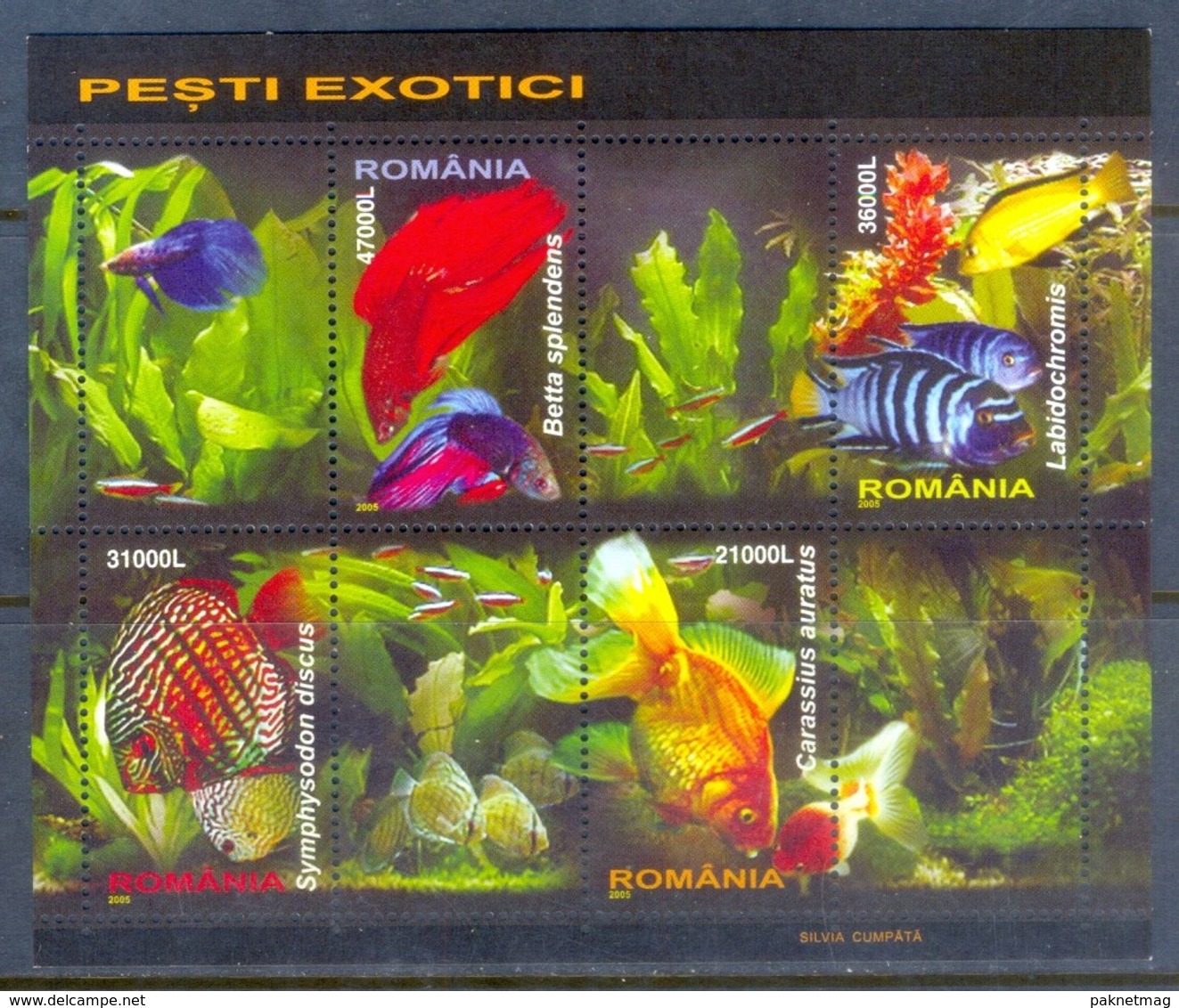 H106- ROMANIA 2005. GOLD FISHS. POISSONS. FISCHE. - Fishes