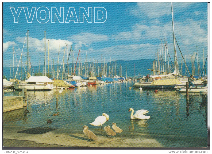 Switzerland, Suisse, Schweiz, Svizzera  - Yvonand Unused - Yvonand