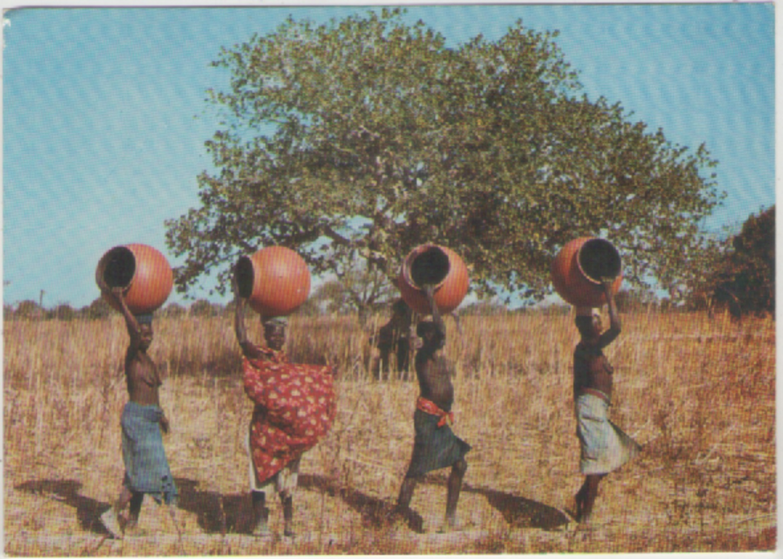 Cpm Haute Volta - Scene De Village - Femme Allant Chercher De L Eau Au Puits - Non Classés