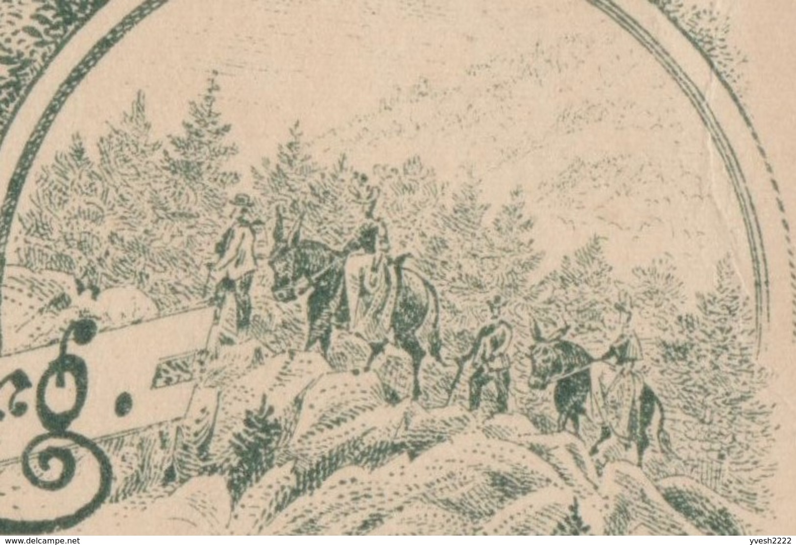 Allemagne 1893. Entier Postal Timbré Sur Commande. Montée Au Moyen D'ânes Au Château De Wartburg, Eisenach - Donkeys