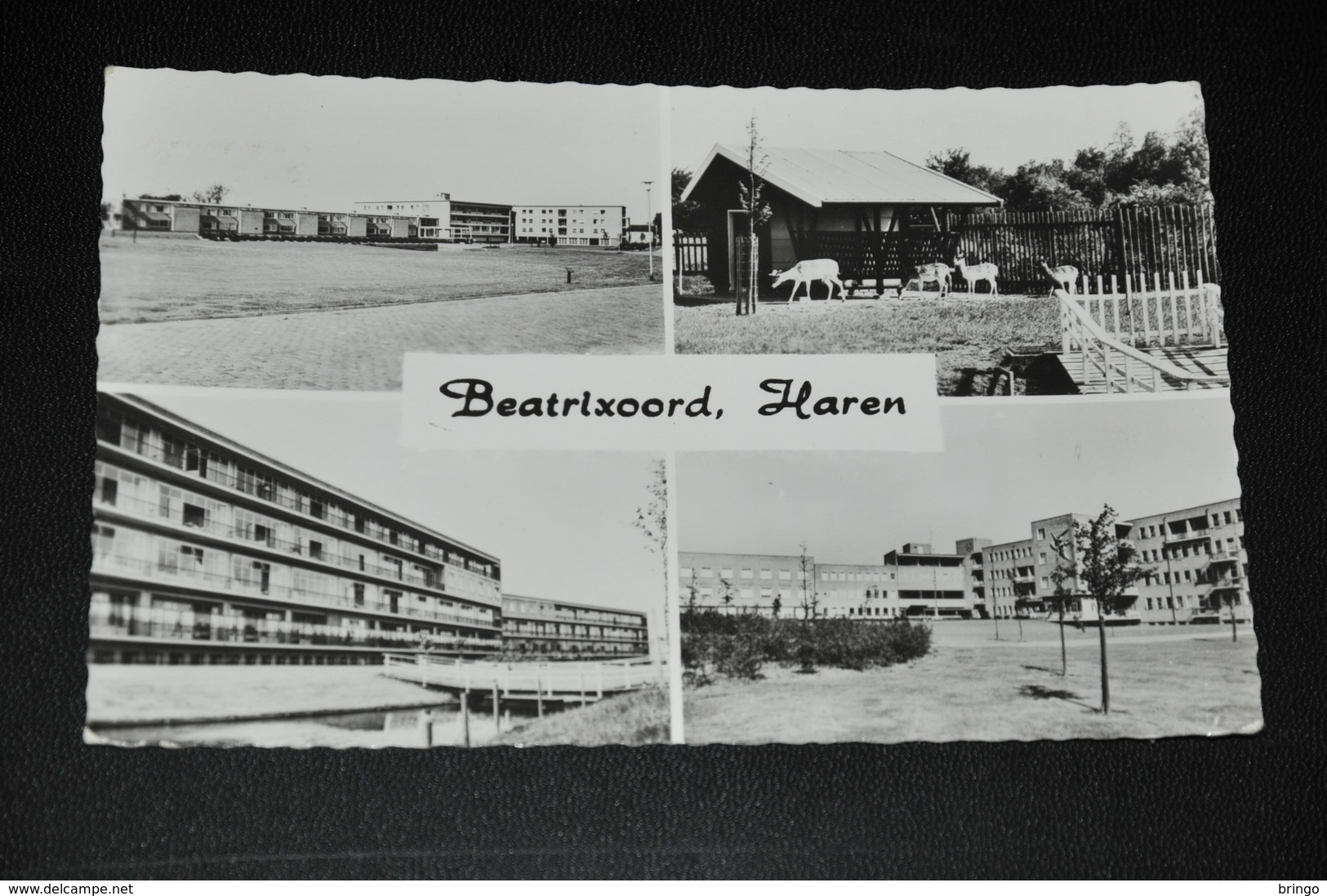 341- Beatrixoord, Haren - Haren