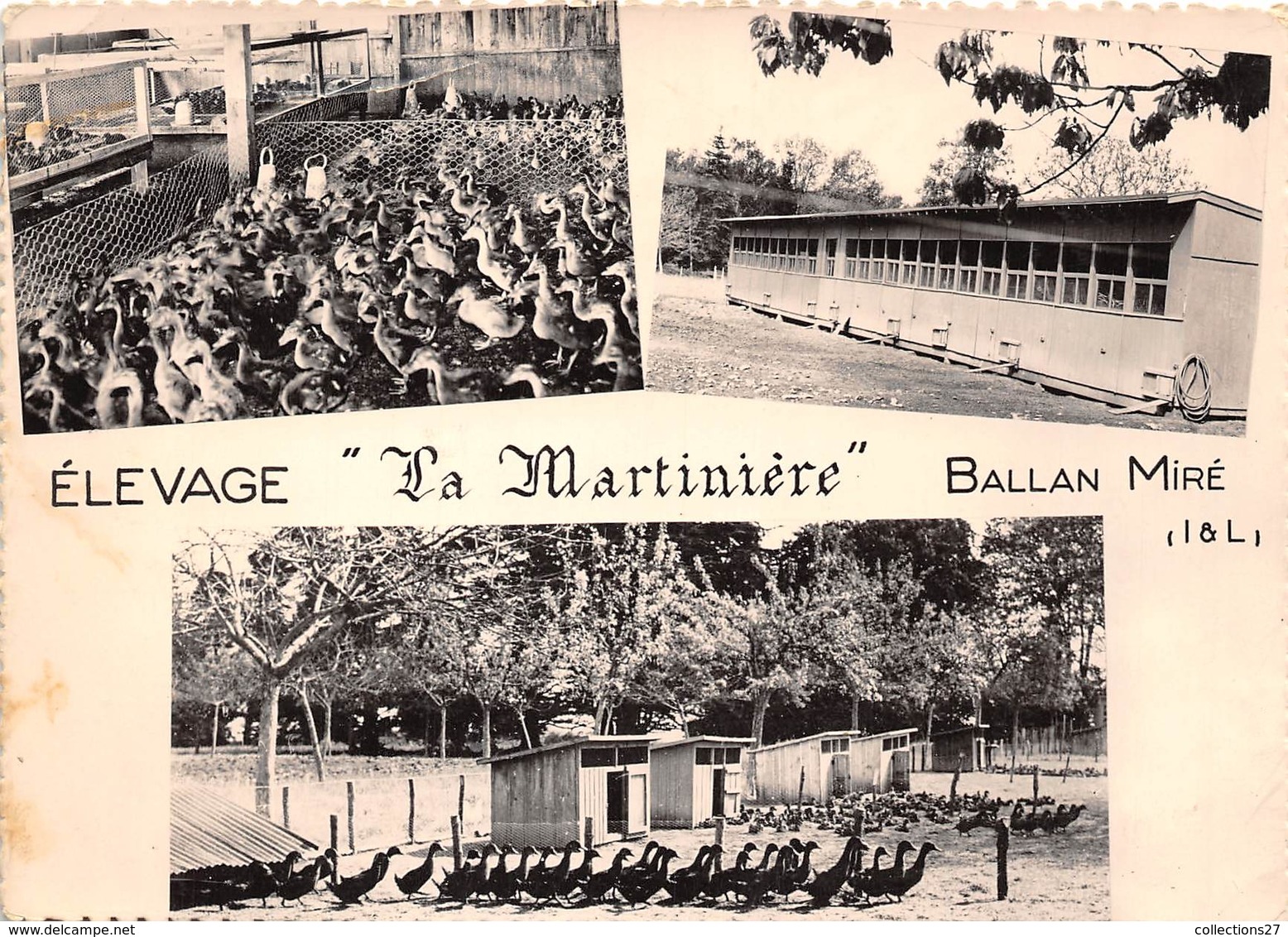 37-BALAN-MIRE- MULTIVUES ELEVAGE " LA MARTINIERE " - Ballan-Miré