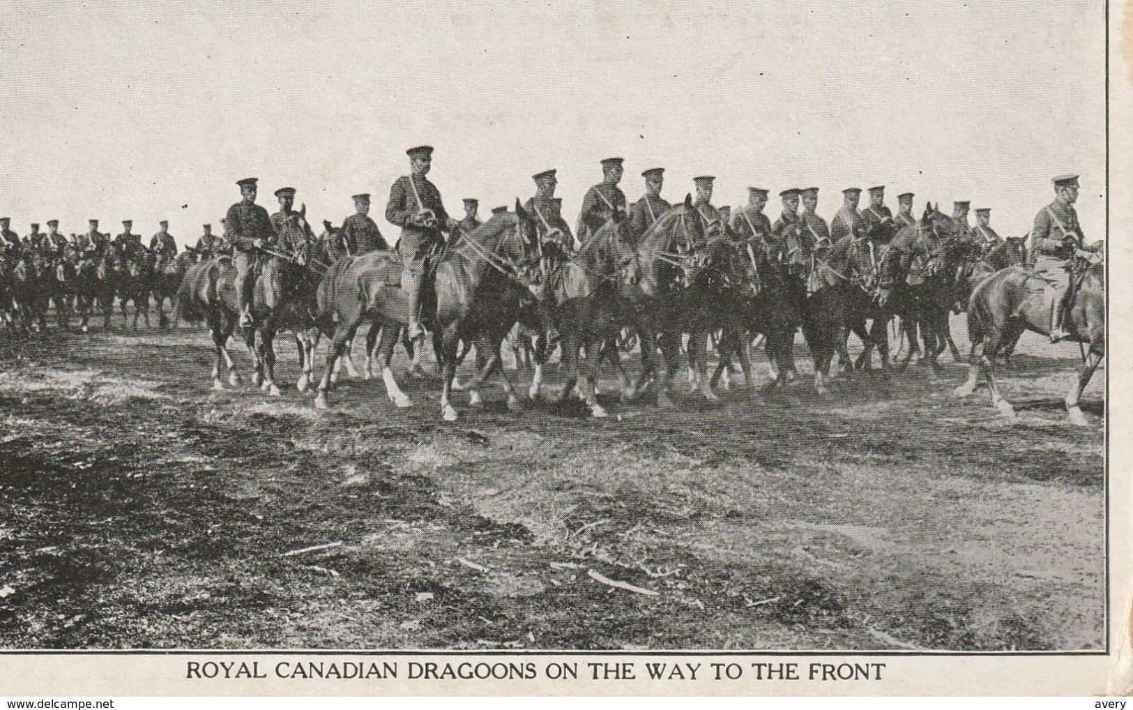 Royal Canadian Dragoons On The Way To The Front - Manoeuvres