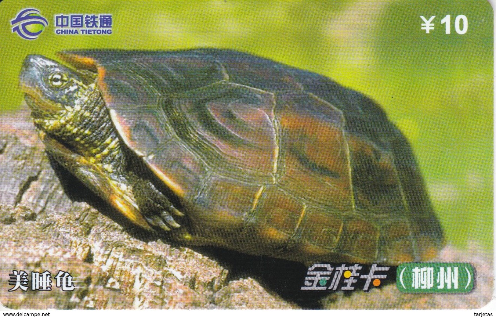 TARJETA DE CHINA DE UNA TORTUGA ACUATICA (TURTLE) - Tortues