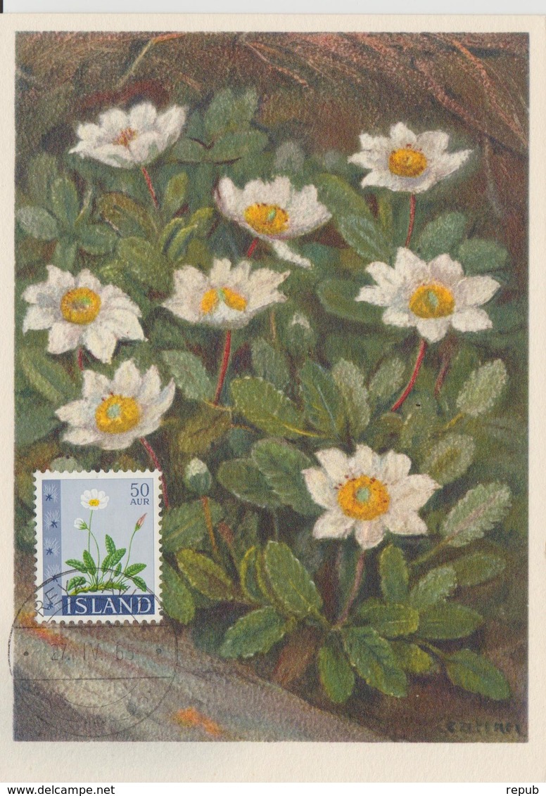Carte Maximum Fleurs 1964 Dryade 336 - Maximumkaarten