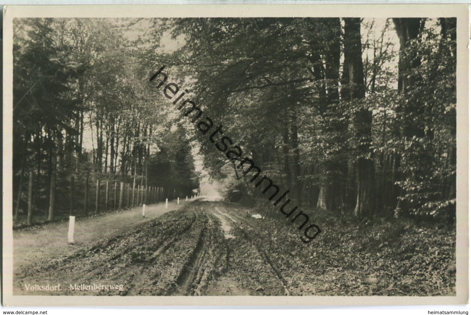 Hamburg-Volksdorf - Mellenbergweg - Foto-AK - Verlag M. Glückstadt & Münden Hamburg - Wandsbek