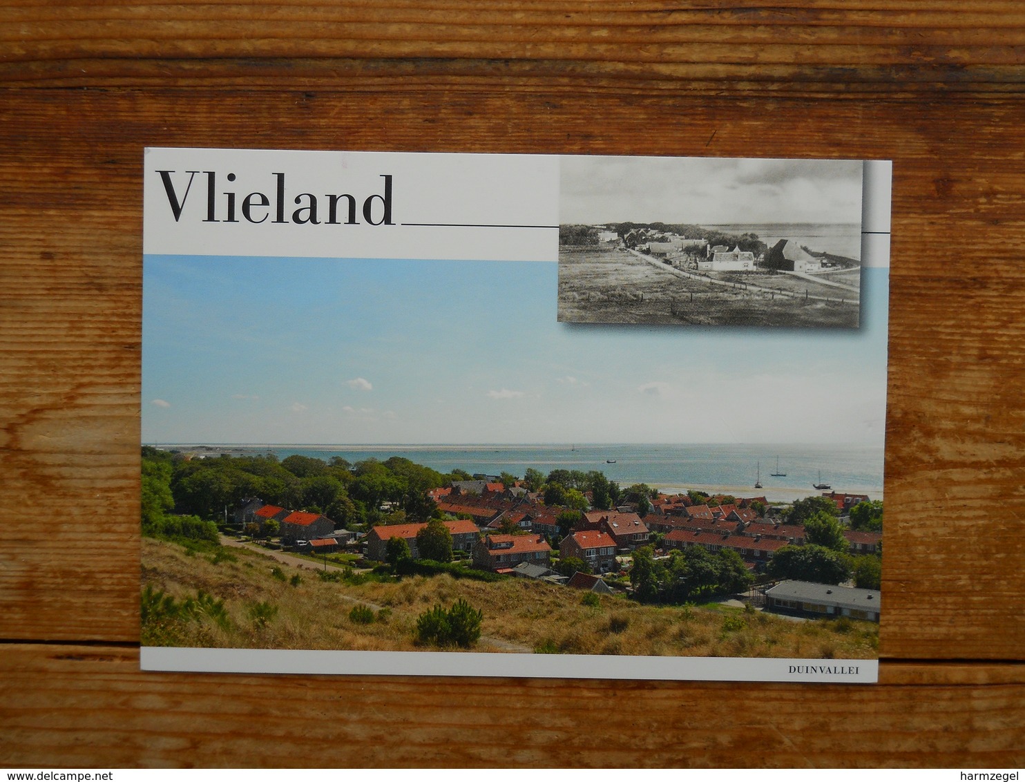 Postal Stationery, Vlieland, Lepelaar, Spoonbill, Sunglasses, Wine, Apple, Camera - Postal Stationery