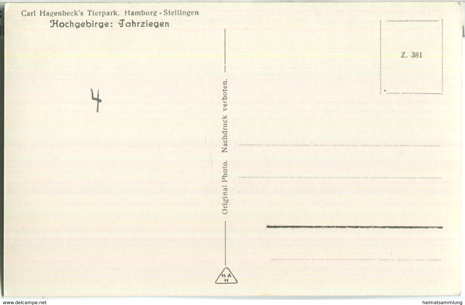 Hamburg - Hagenbeck's Tierpark - Tahrziegen - Foto-AK - Stellingen