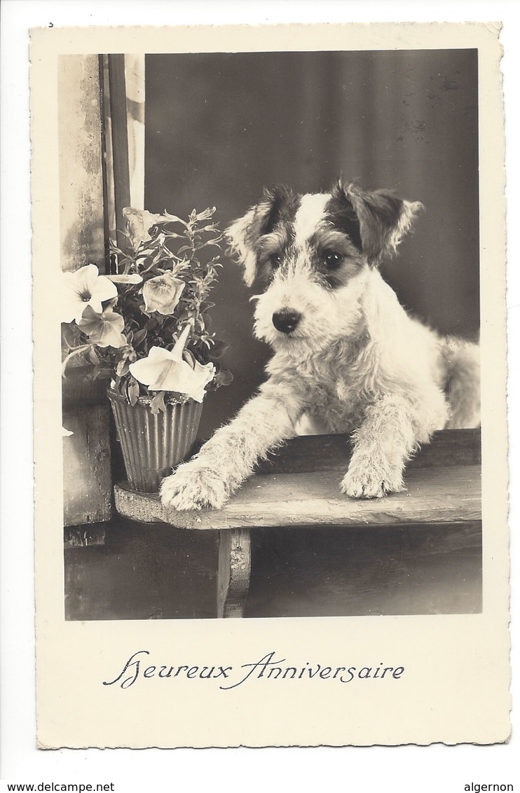 20009 - Heureux Anniversaire Chien Et Panier De Fleurs - Chiens