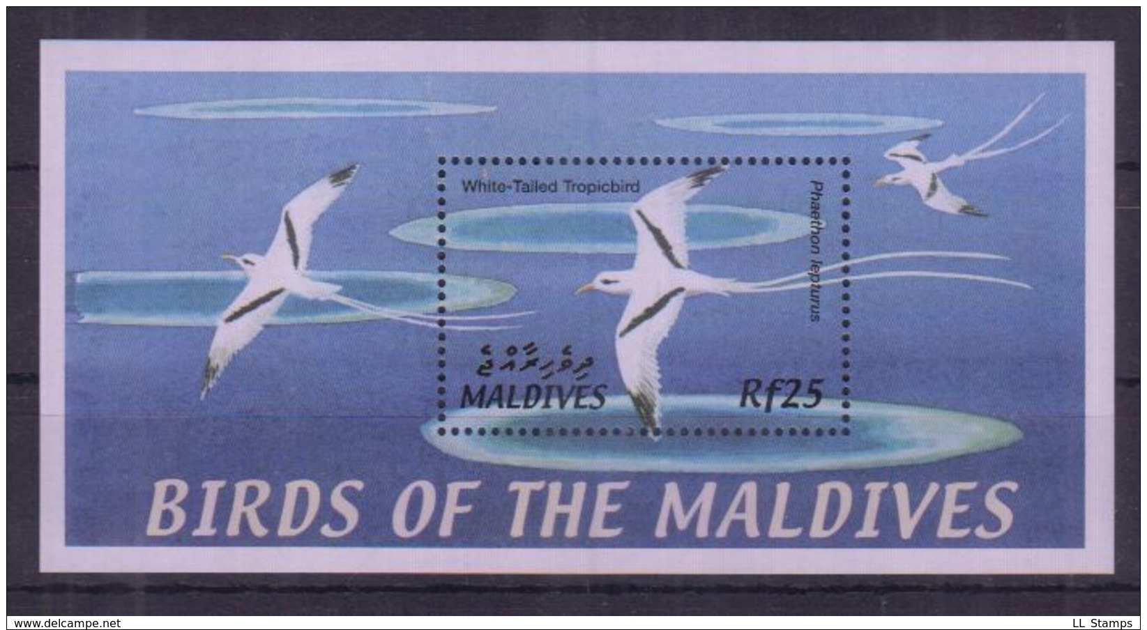 I17. Maldives - MNH - Animals - Birds - Other & Unclassified