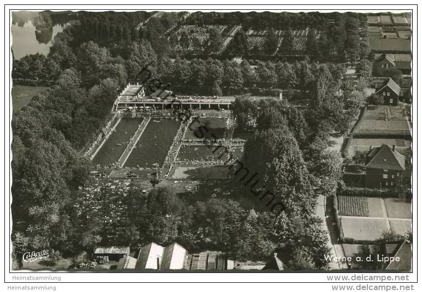 Werne - Freibad - Luftbild - Foto-AK 1961 - Werne