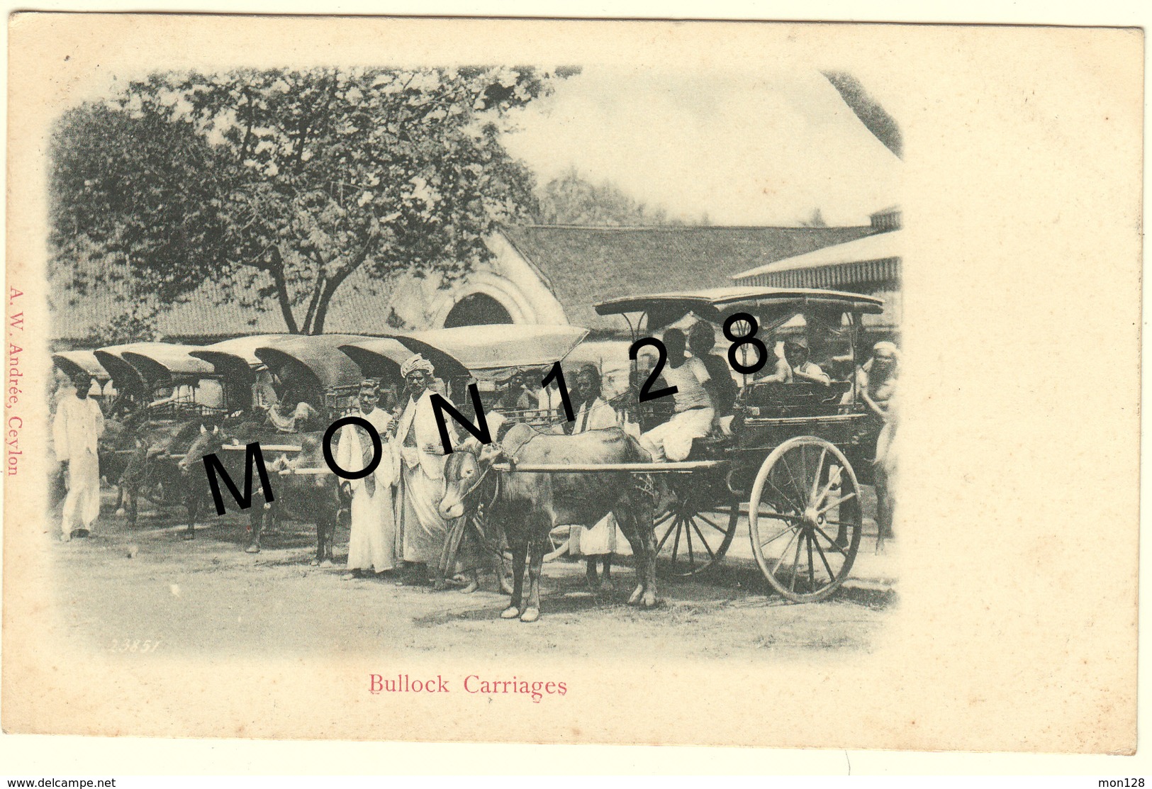 SRI LANKA / CEYLON / CEYLAN - COLOMBO - BULLOCK CARRIAGES - Sri Lanka (Ceylon)