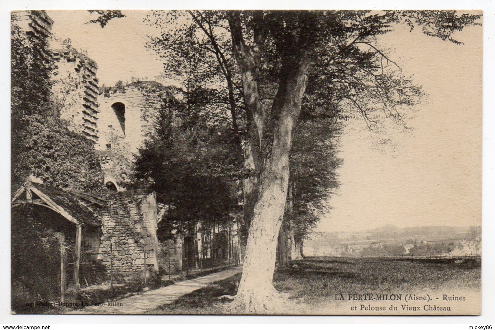 LA FERTE  MILON --Ruines Et Pelouse Du Vieux Chateau - Autres & Non Classés