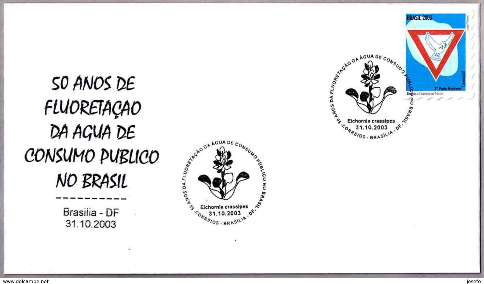 FLUORIZACION DEL AGUA POTABLE - Fluoridation Of Drinking Water. Brasilia DF 2003 - Química