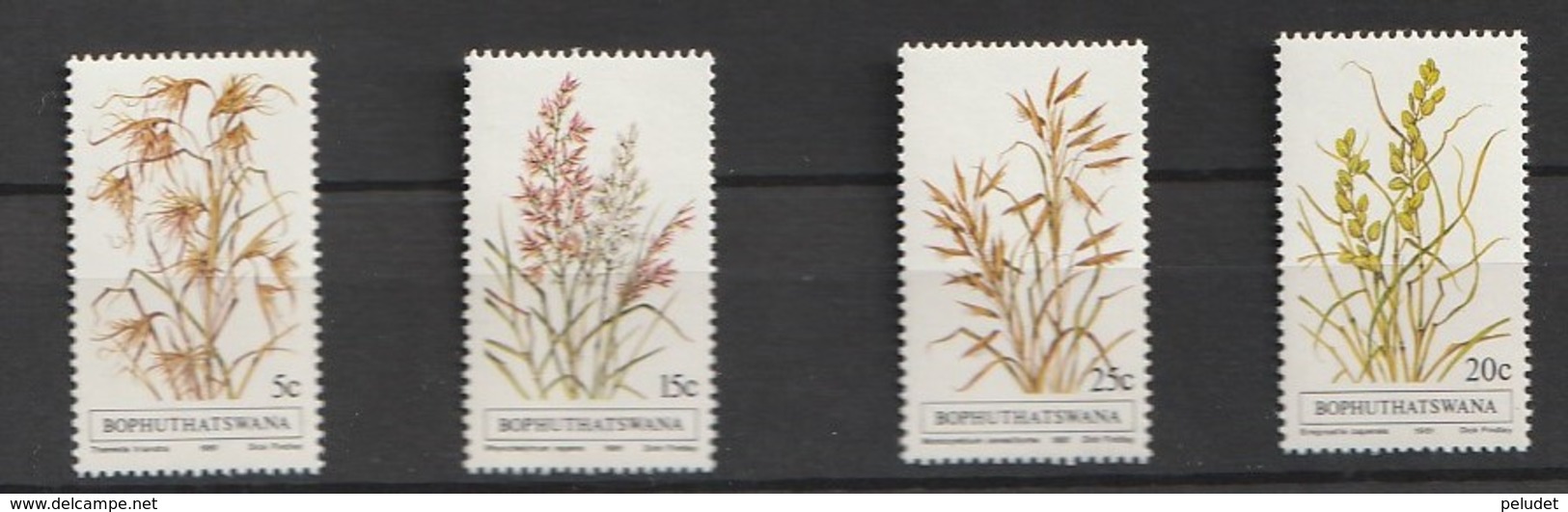 Bophuthatswana 1981, Grasses 4v ** Mi 80-83, Sn 80-83, Yt 80-83, Sg 80-83 - Bofutatsuana