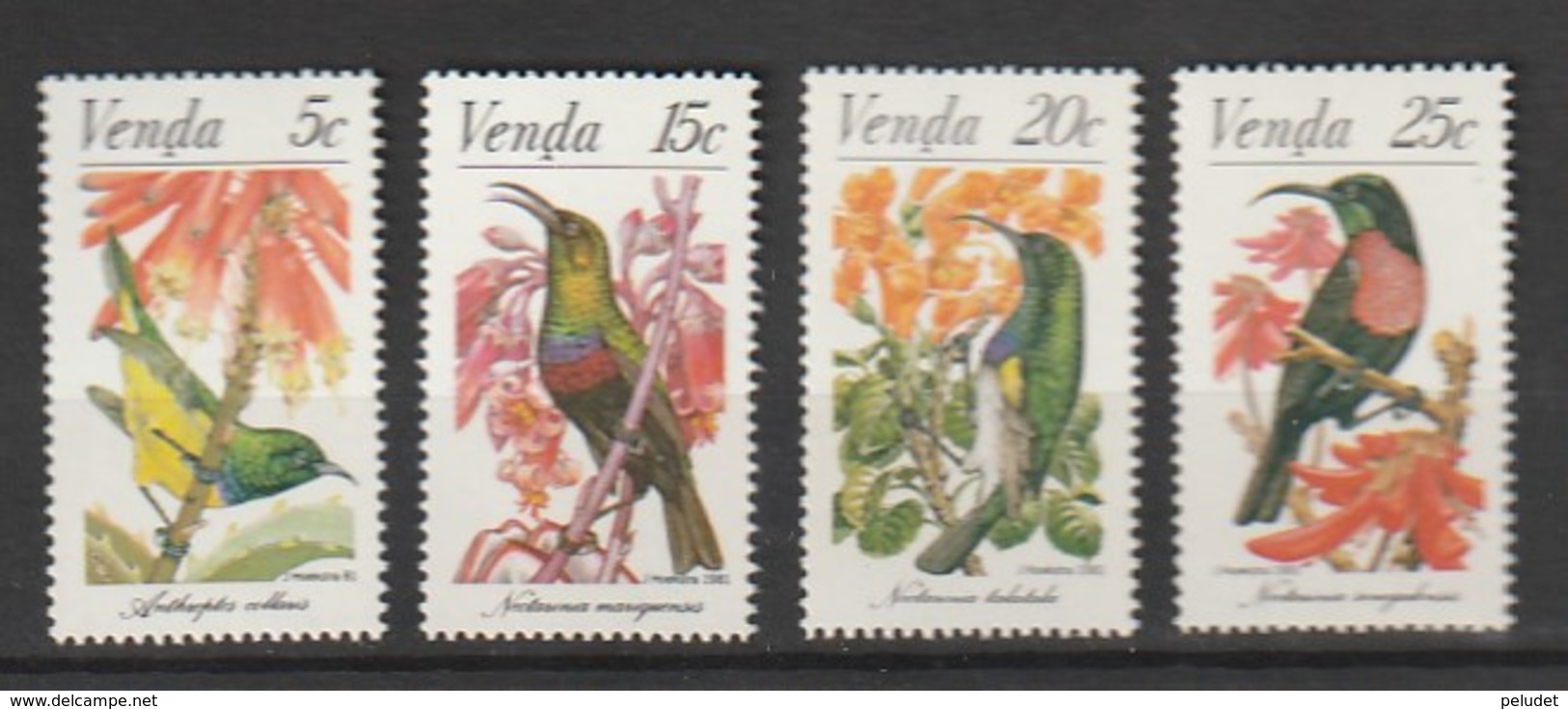 Venda 1981, Birds, Flowers 4v Mnh - Venda