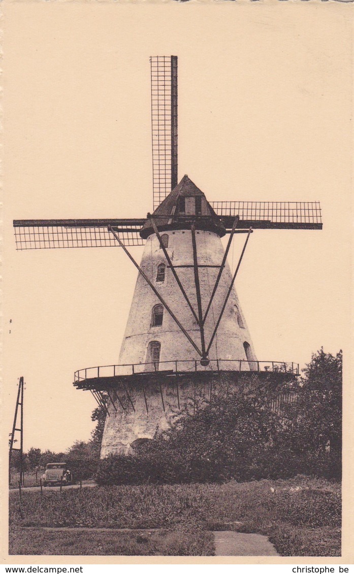 Boechout, De Molen, Moulin, Windmill (pk47944) - Böchout