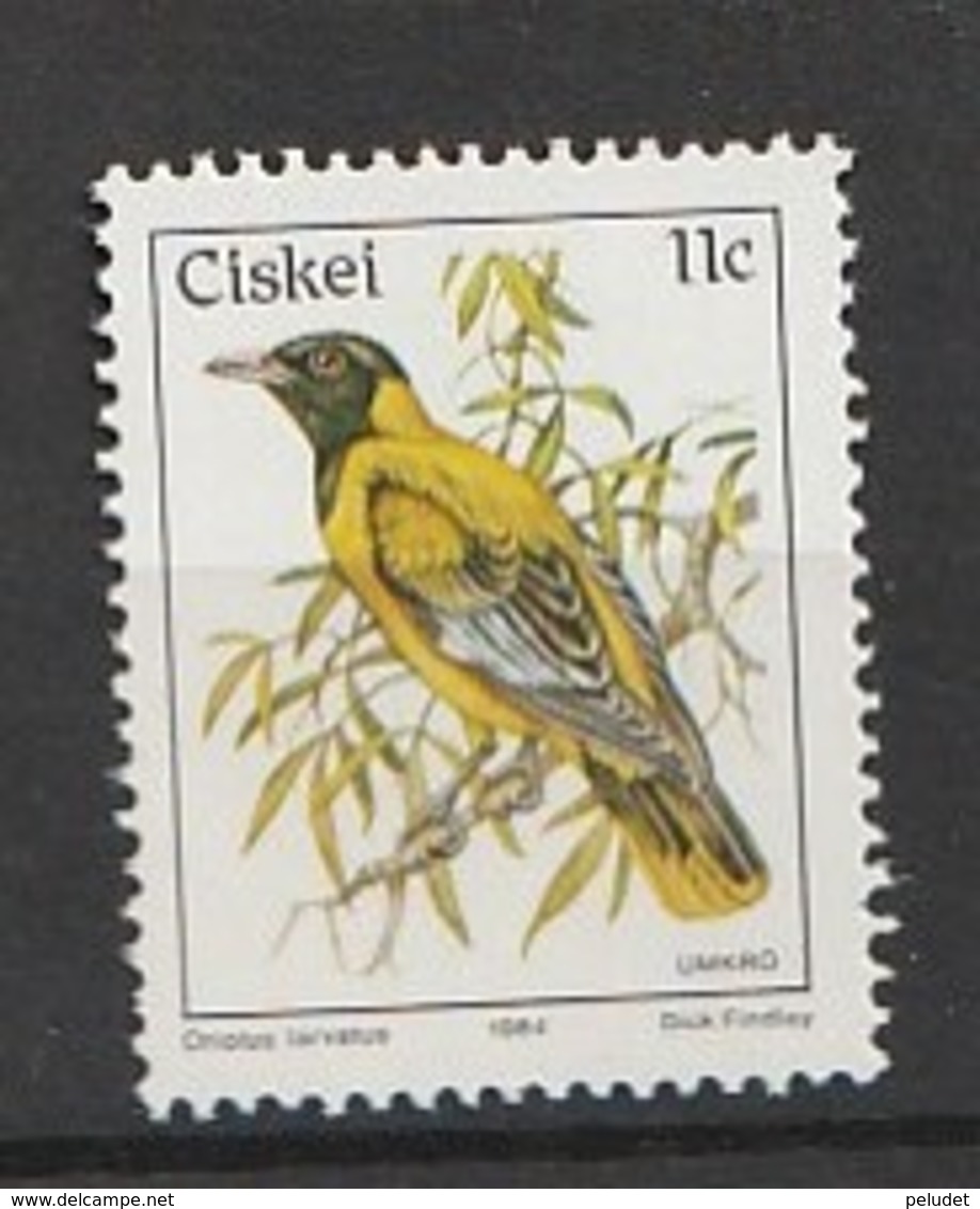 Ciskei 1984 Birds - Black-Headed Oriole 1v ** Mi 56, Sn 15, Yt 56, Sg 14a - Ciskei