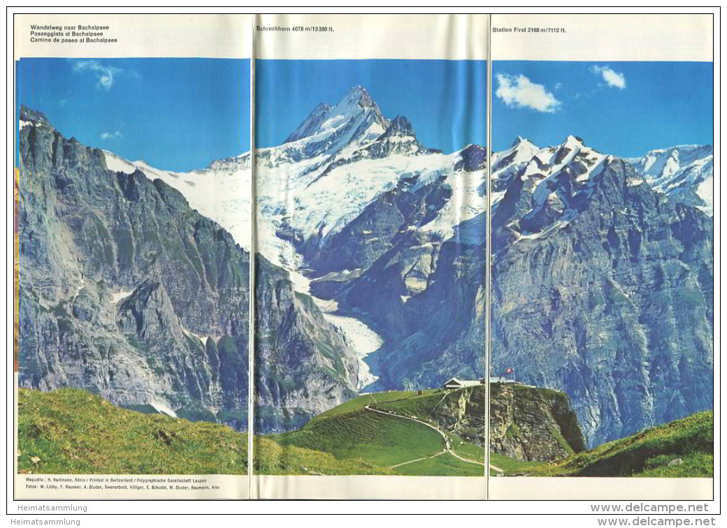 Grindelwald Sommer 1967 - Faltblatt Mit 20 Abbildungen - Veranstaltungs- Und Hotel-Verzeichnis - Zwitserland