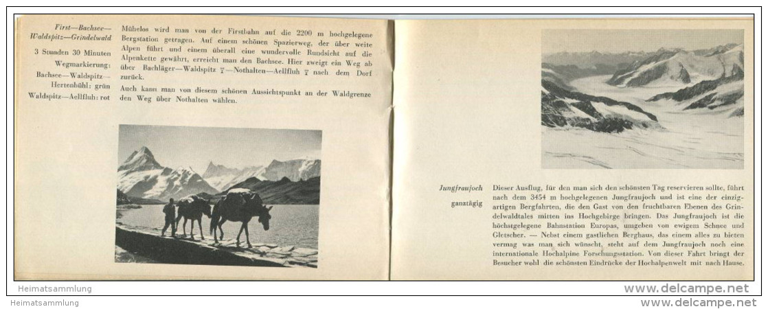 Das Kleine Wanderbrevier Von Grindelwald - 28 Seiten Mit 11 Abbildungen - 21 Wanderungen Und Geführte Hochtouren - Suisse