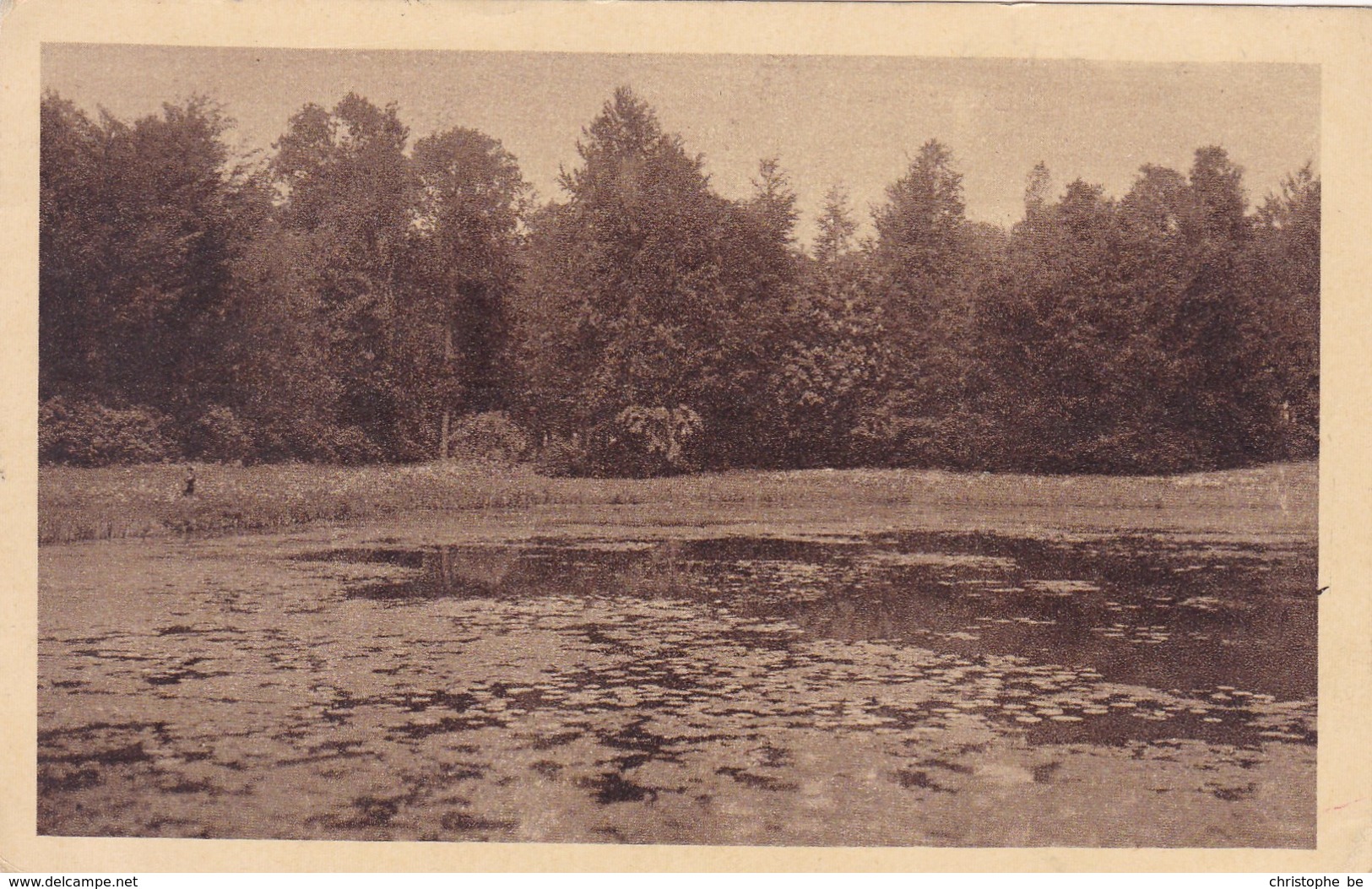 Meise, Meysse, Un Coin Du Parc De La Princesse Charlotte (pk47978) - Meise