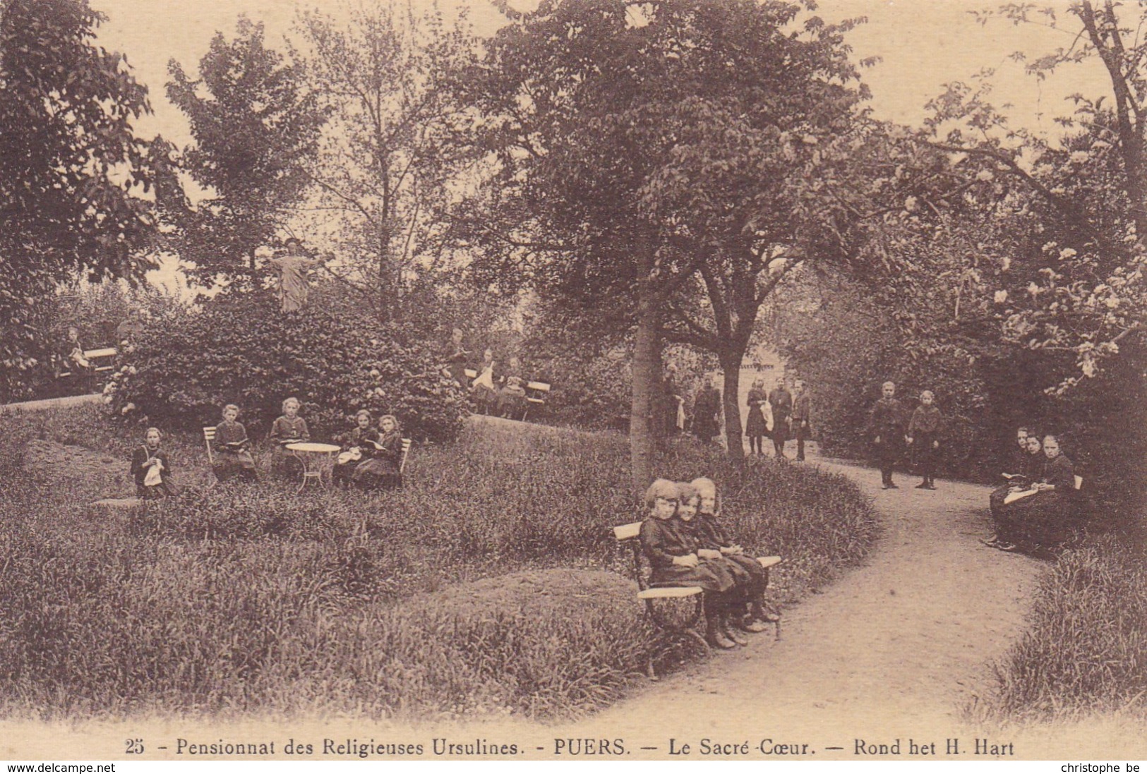 Puurs, Puers, Pensionnat Des Religieuses Ursulines, Le Sacré Coeur (pk49017) - Puurs