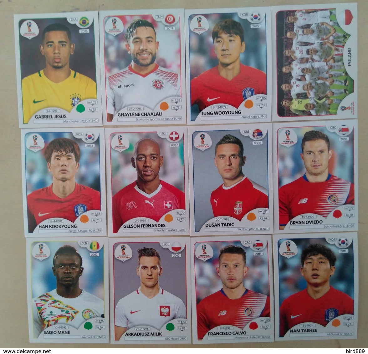 2018 FIFA World Cup 12 Different Panini Stickers New - Edición  Inglesa