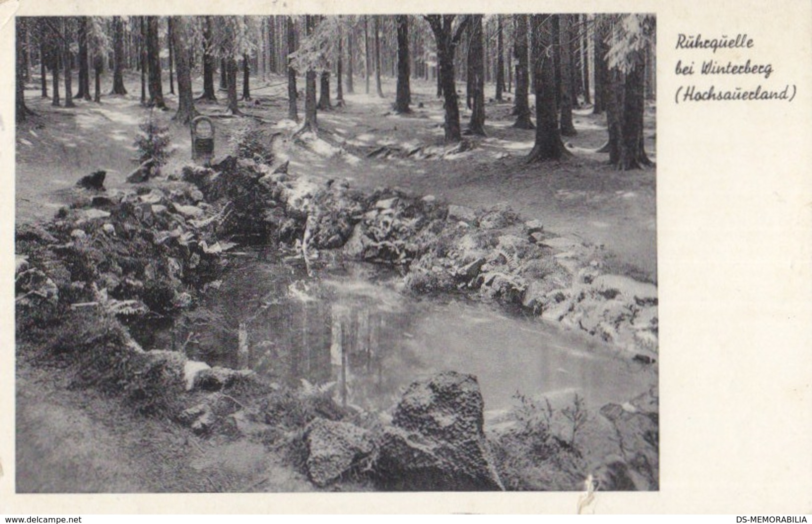 Ruhrquelle Bei Winterberg 1953 - Winterberg