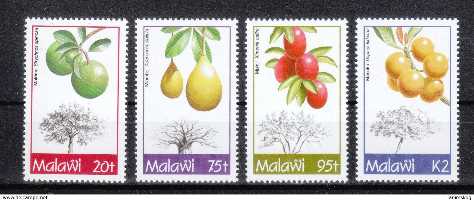 Malawi 1993**,  Tropische Früchte, Sukkulente / Malawi 1993, MNH, Tropical Fruits, Succulent - Cactusses