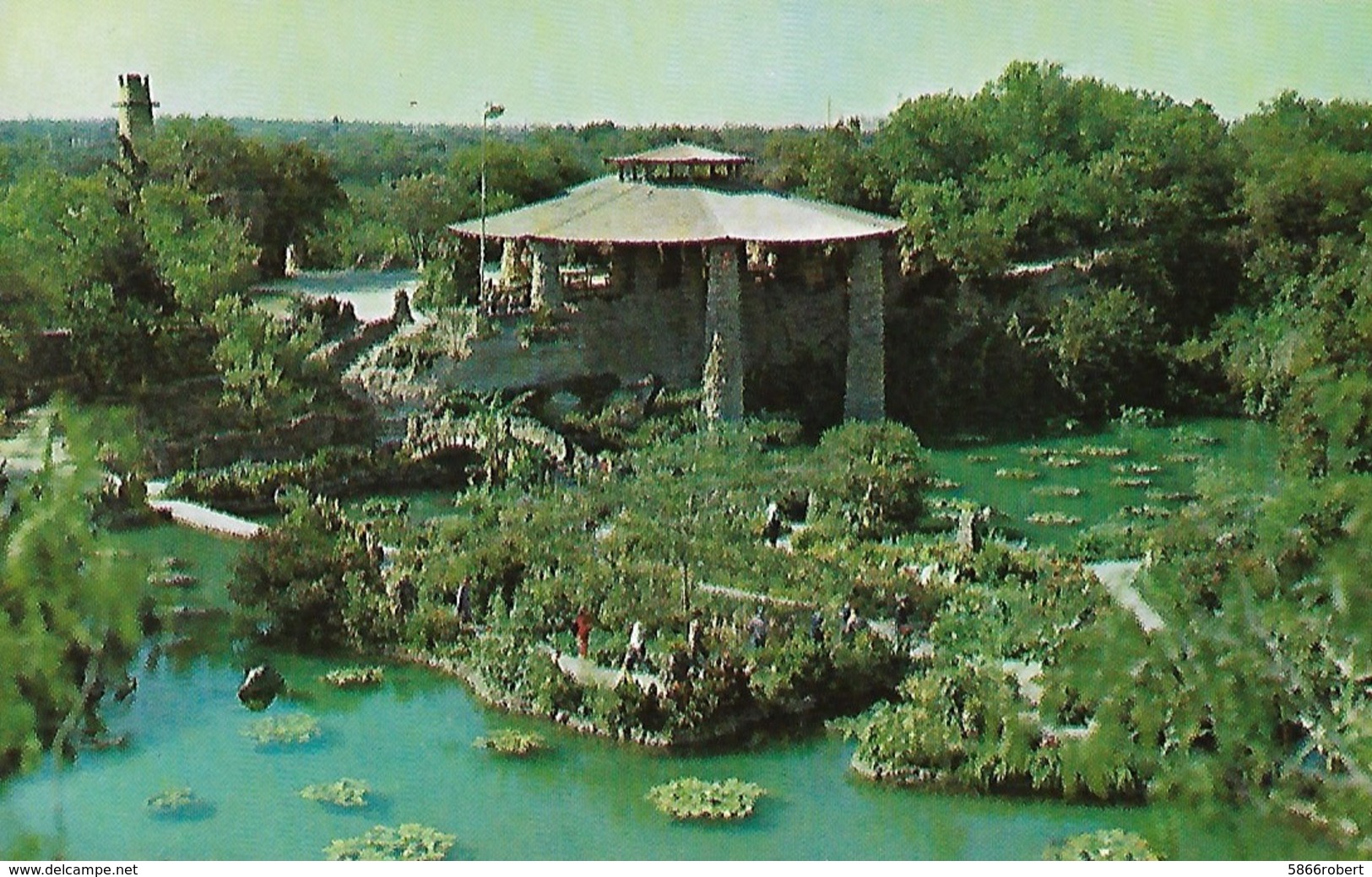 CARTE POSTALE ORIGINALE DE 9CM/14CM : BRACKENRIDGE PARK SAN ANTONIO CHINESE TEA GARDEN TEXAS USA - San Antonio