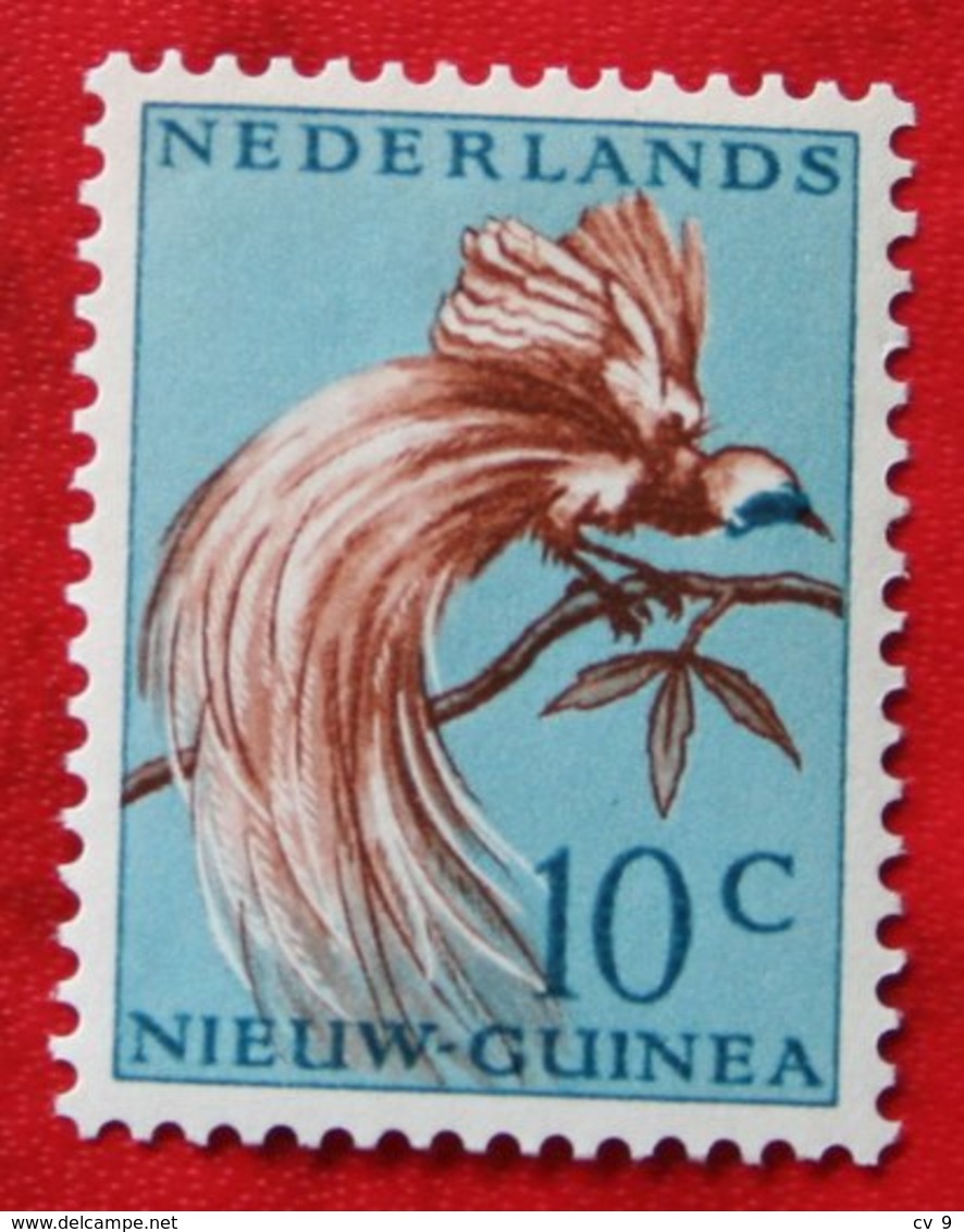 10 Ct Paradijsvogels Birds Vogel NVPH 27 1954 Ongebruikt MH NIEUW GUINEA NIEDERLANDISCH NEUGUINEA NETHERLANDS NEW GUINEA - Netherlands New Guinea