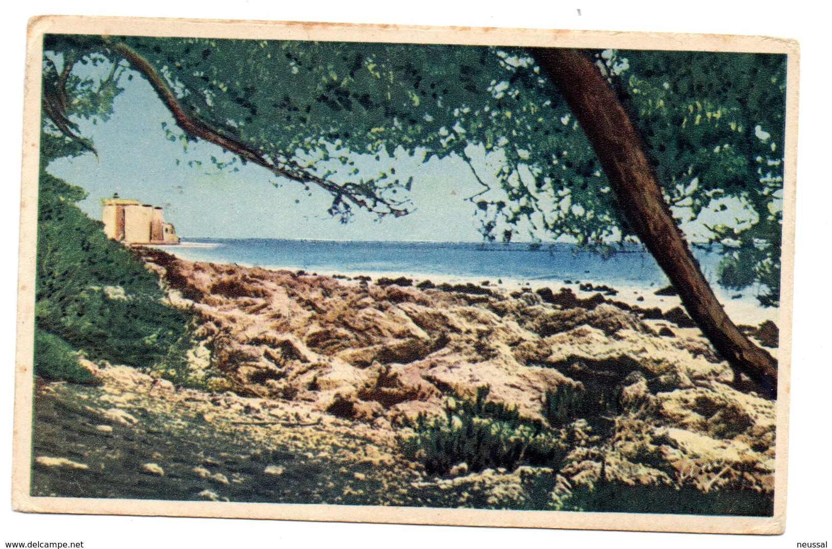 Tarjeta Postal De Ille St. Honorat. - Cannes