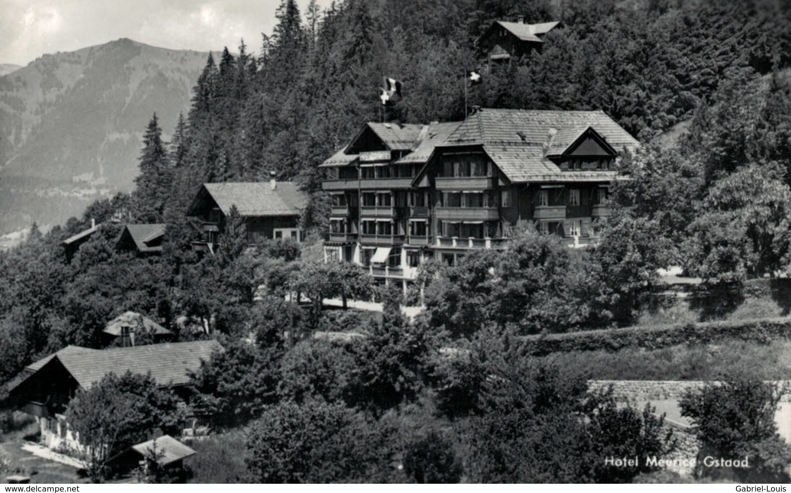 Hotel Meurice Gstaad - Gstaad