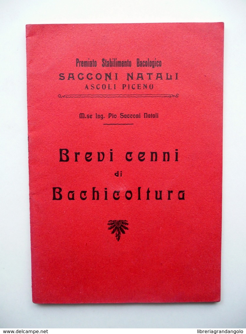 Brevi Cenni Di Bachicoltura Stabilimento Bacologico Sacconi Natali Ascoli 1907 - Unclassified