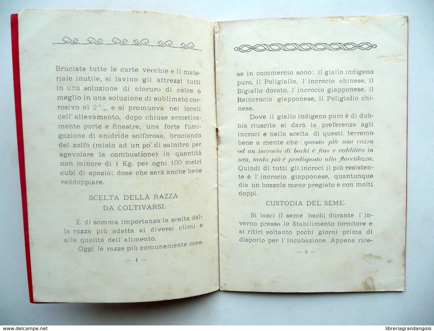 Brevi Cenni Di Bachicoltura Stabilimento Bacologico Sacconi Natali Ascoli 1907 - Unclassified
