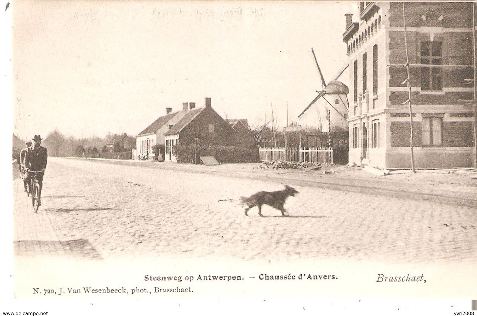 CP.de Brasschaet -  Steenweg Op ANTWERPEN - Chaussée D'ANVERS  Phot. Van Wesenbeeck - Brasschaat