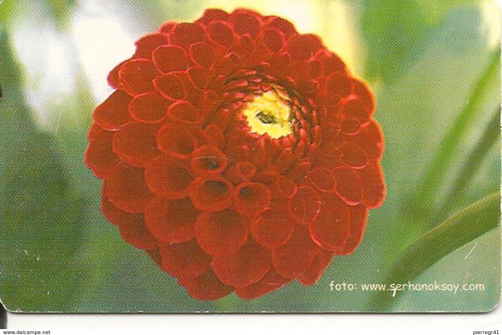 CARTEµ-PUCE-TURQUIE-100U-2003-FLEURS/DALHIA ???-BE-RARE - Fleurs