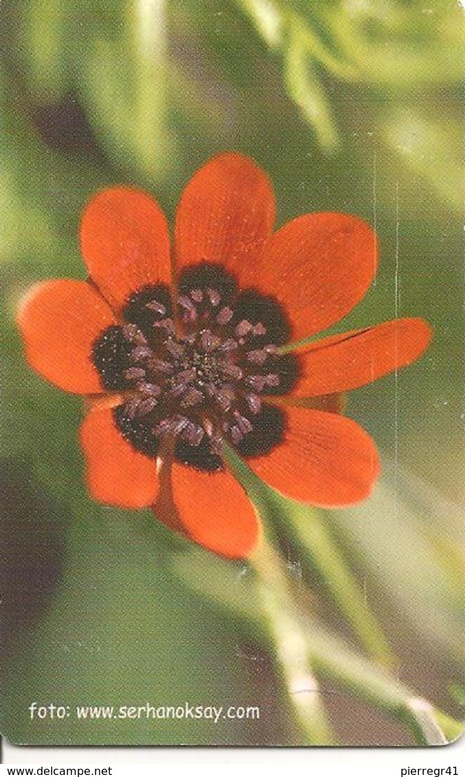 CARTEµ-PUCE-TURQUIE-100U-2003-FLEURS/COQUELICOT ???-BE-RARE - Fleurs