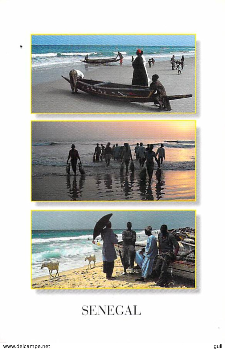 Afrique > COULEURS Du SENEGAL La Vie Des Pêcheurs à CAYAR - Multi Vues  (RENAUDEAU 1214)  *PRIX FIXE - Senegal