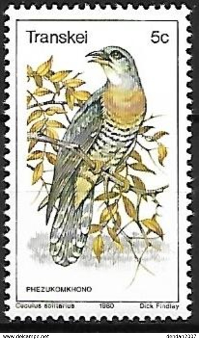 Transkei (South Africa) - 1980 - MNH - Red-chested Cuckoo (Cuculus Solitarius) - Cuckoos & Turacos