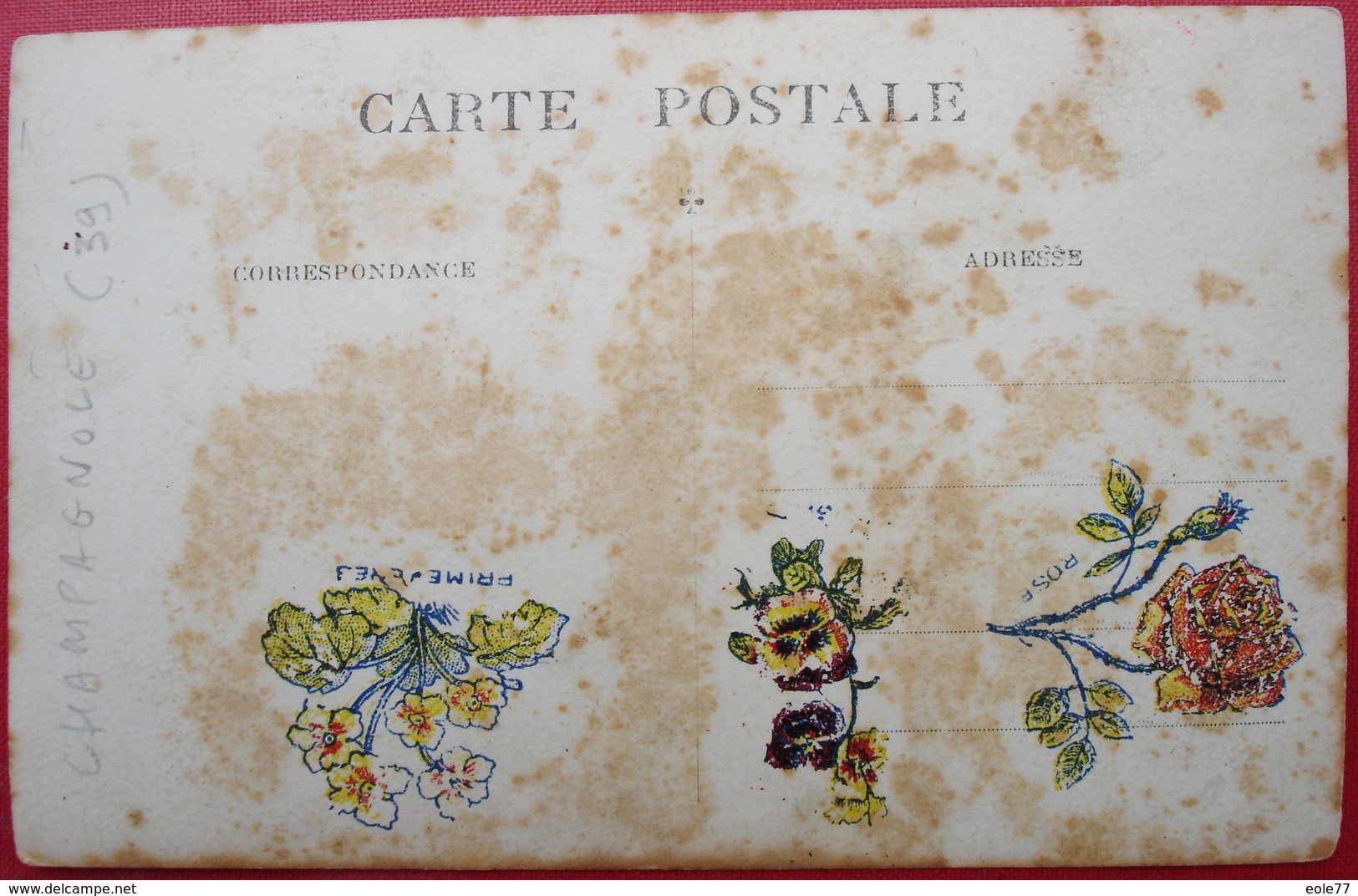 39 - Carte Photo - CHAMPAGNOLE - Cafe - HOTEL - RESTAURANT DE LA GARE - GRILLET - Champagnole
