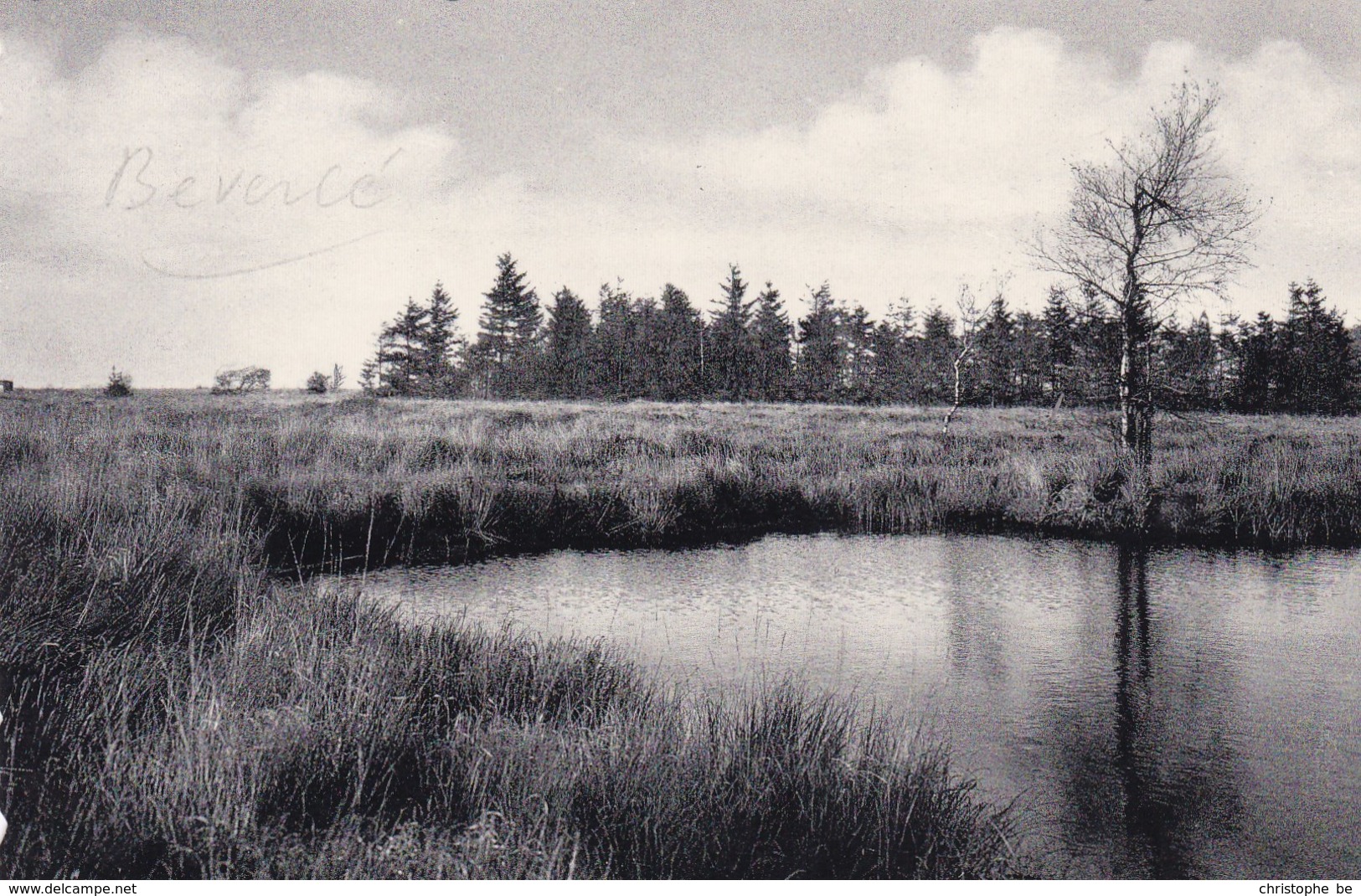 Anhée, Château De Bioul, Pièce D'eau, Jardin Français (pk49091) - Anhée