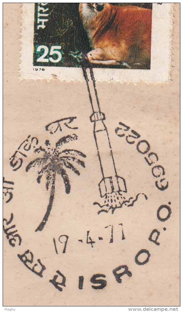 ISRO Indian Space Research Organozation Special Pictoral Postmark Cover 1977, Cocunut Tree. As Scan - Asia