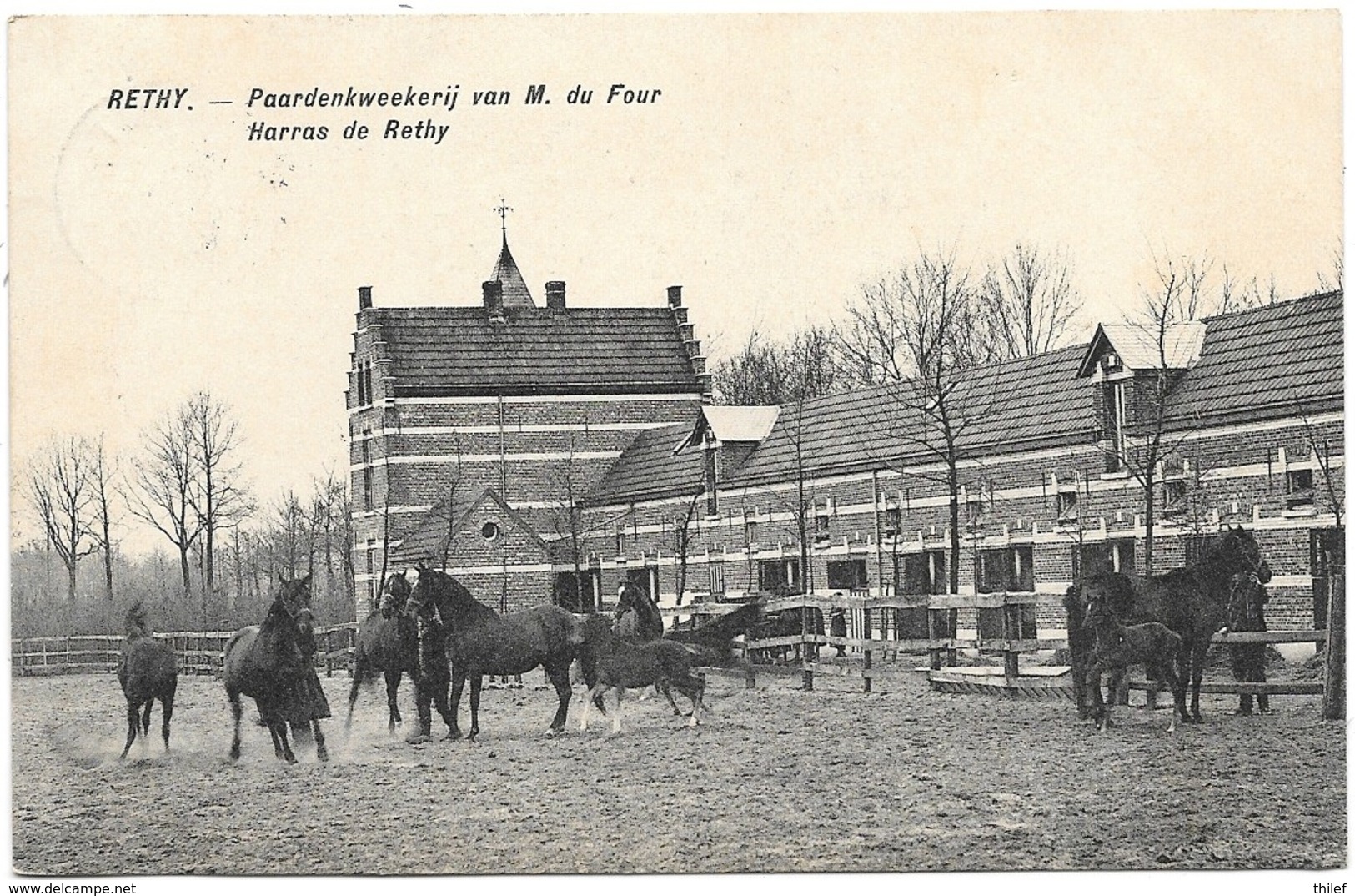 Rethy NA3: Paardenkweekerij Van M. Du Four 1915 - Retie