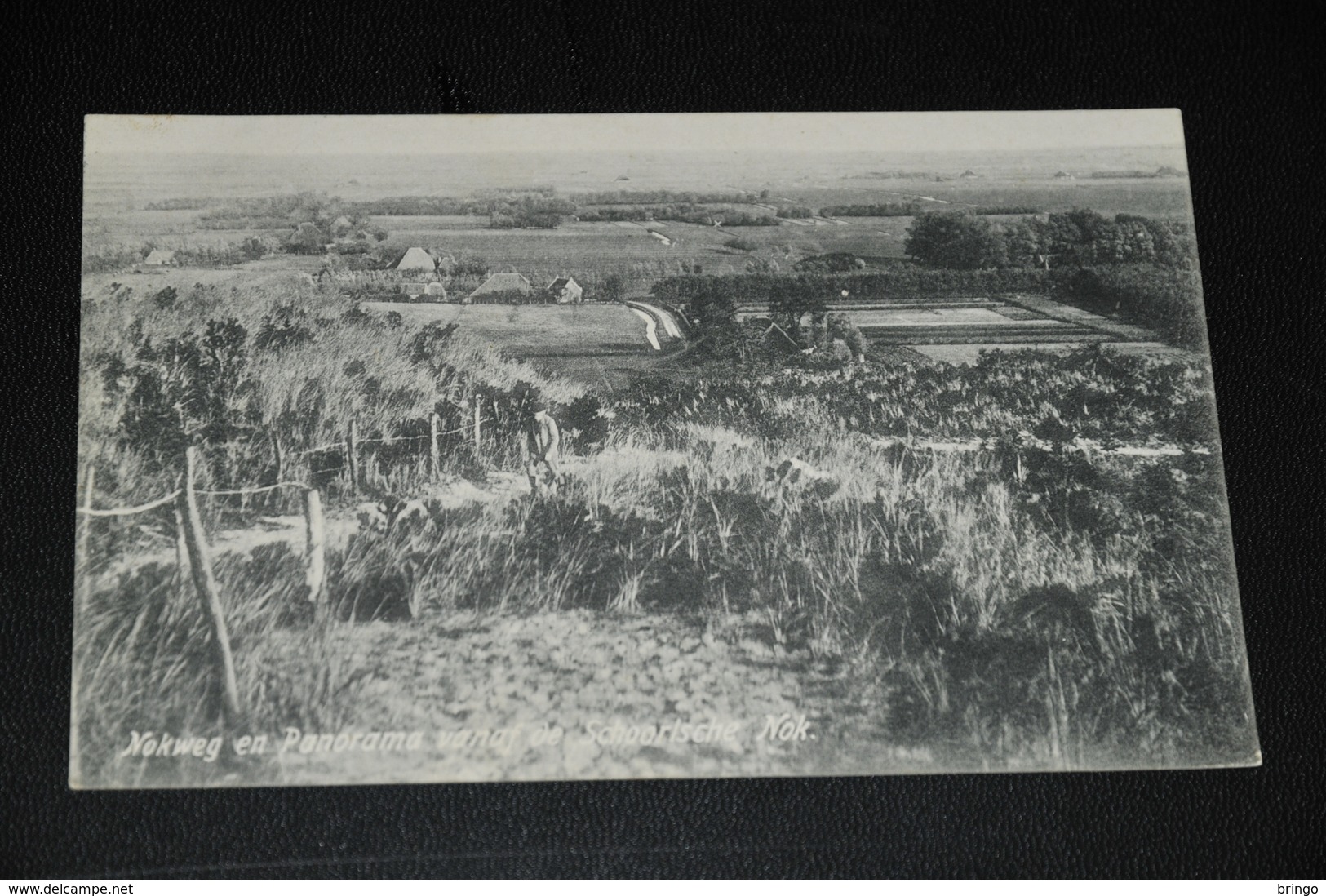 445- Nokweg En Panorama V.a. De Schoorlsche Nok - 1908 - Schoorl