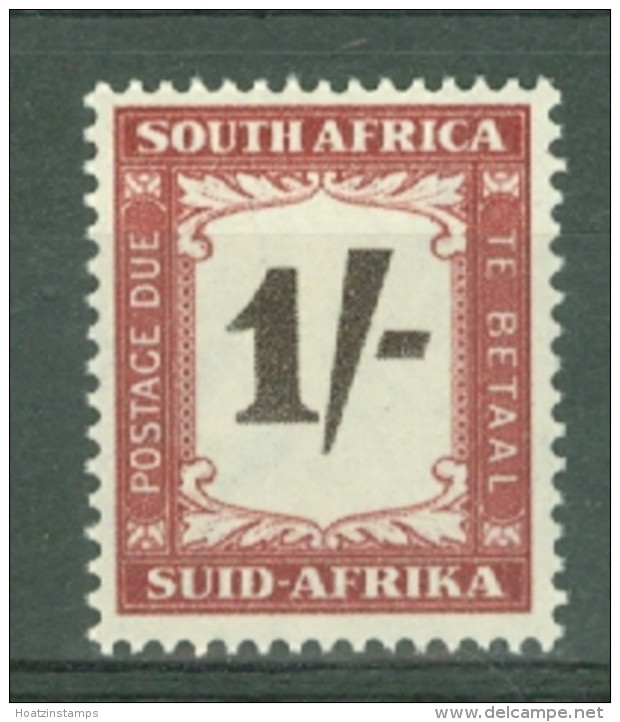 South Africa: 1950/58   Postage Due    SG D44    1/-    MNH - Portomarken