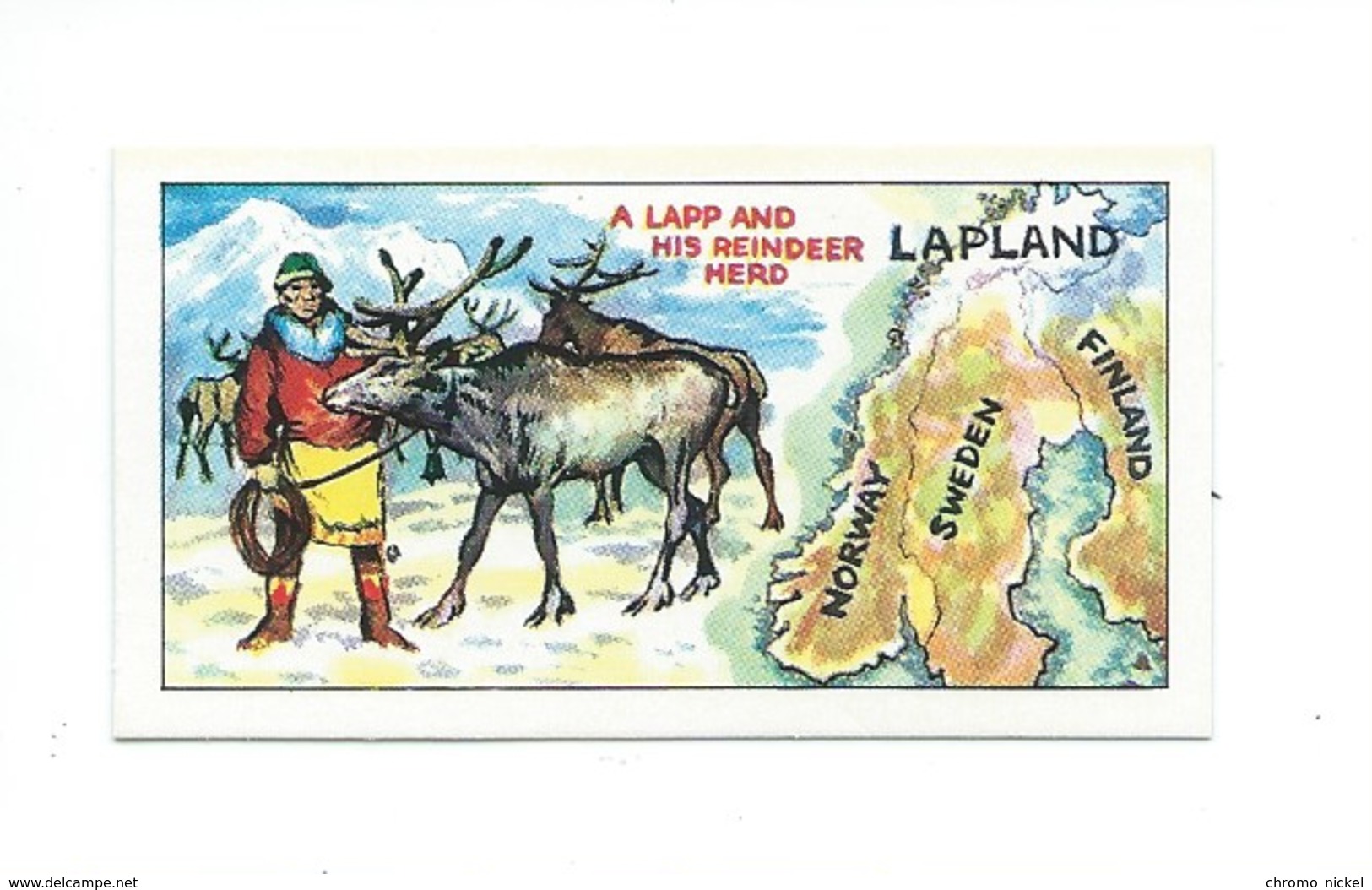 Lapland Laponie Chromo Barratt TB 65 X 35 Mm Didactique 2 Scans - Autres & Non Classés