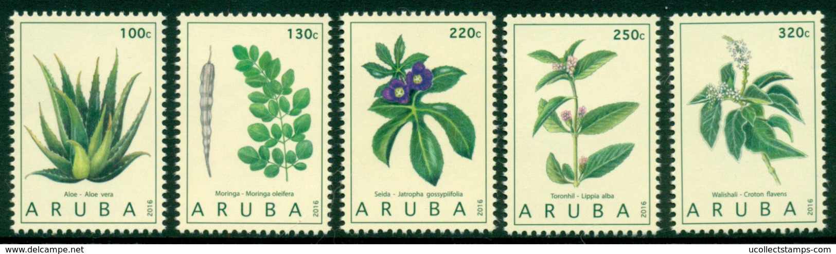 Aruba 2016   Medicinal Plants    Postfris/mnh/neuf - Neufs